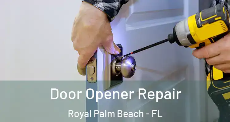  Door Opener Repair Royal Palm Beach - FL