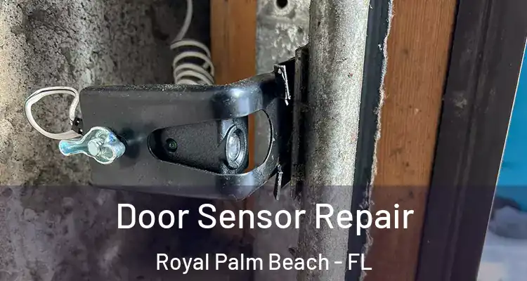  Door Sensor Repair Royal Palm Beach - FL