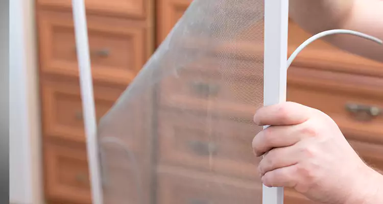 Privacy Mesh Screen Door Installation in Royal Palm Beach, FL