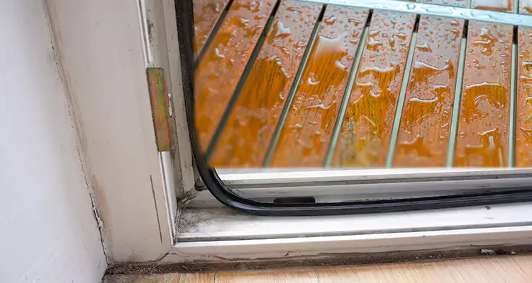 Water Leaking Wooden Patio Doors Repair in Royal Palm Beach, FL