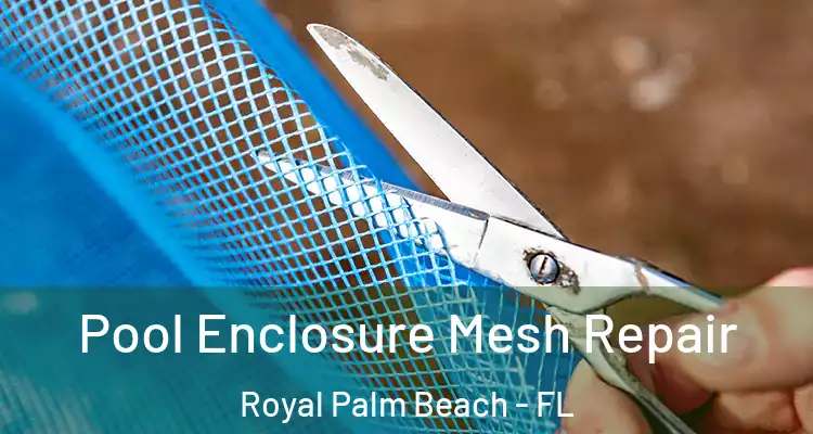  Pool Enclosure Mesh Repair Royal Palm Beach - FL